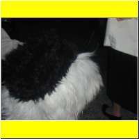 Dscn0739_s.jpg