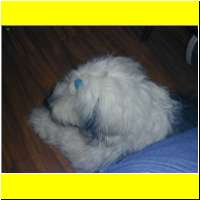 DSCN1680_s.jpg