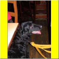 DSCN7710_s.jpg