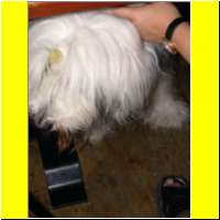 DSCN7730_s.jpg