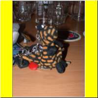 DSCN7766_s.jpg