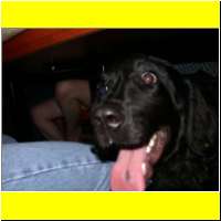 DSCN7769_s.jpg