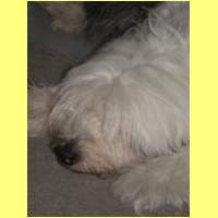 DSCN8542_s.jpg