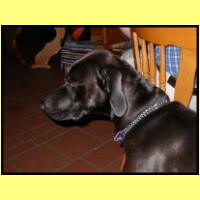 DSCN0057_s.jpg