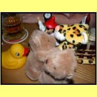DSCN9841il_s.jpg