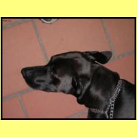 DSCN9964_s.jpg