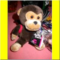 DSCN1906_s.jpg