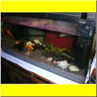 DSCN0071il_s.jpg