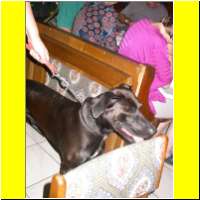 DSCN7223_s.jpg