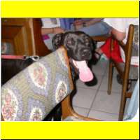 DSCN7225_s.jpg
