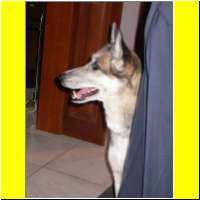 DSCN7250_s.jpg