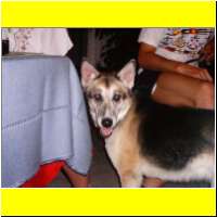 Rolf_018_s.jpg