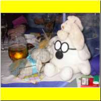 DSCN8608_s.jpg