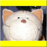 DSCN9930_s.jpg