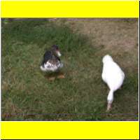 DSCN6218_s.jpg