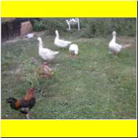 DSCN6332_s.jpg