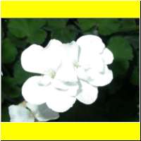 DSCN6404_s.jpg