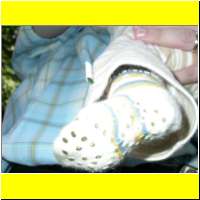 DSCN6464_s.jpg