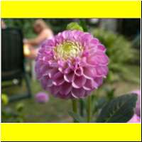 DSCN6480_s.jpg
