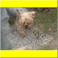 DSCN6484_s.jpg
