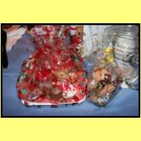 IMG_1058_s.jpg