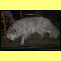 IMG_1087_s.jpg