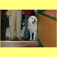 DSC_0093_small.jpg