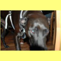 DSC_0172_small.jpg