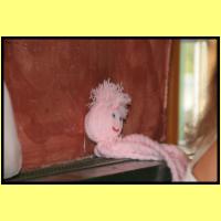 IMG_8448_s.jpg