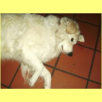 BILD0257.jpg