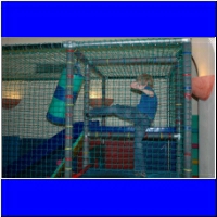 DSC_2827_small.jpg