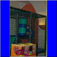 DSC_2828_small.jpg