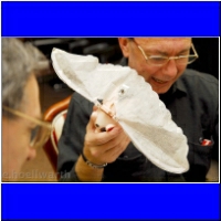 dsc_3576_Fluegelschwein.jpg