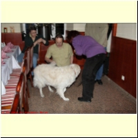 2009-03-13_TT-Yanghaus_0001.JPG