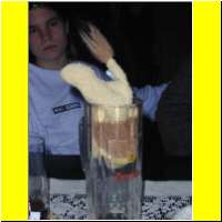 DSCN0225_s.jpg
