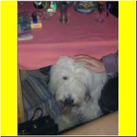 DSCN0750_s.jpg