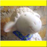 DSCN0762_s.jpg