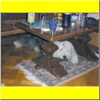 DSCN1059_s.jpg