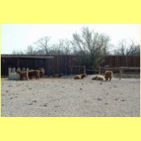 DSCF1292_s.jpg
