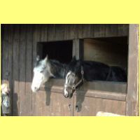 DSCF1296_s.jpg