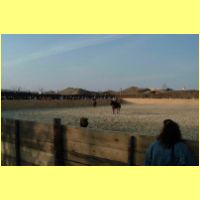 DSCF1412_s.jpg