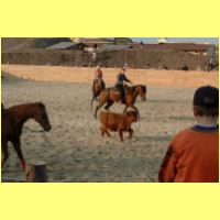 DSCF1423_s.jpg