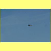 DSCF1425_s.jpg