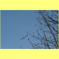 DSCF1434_s.jpg