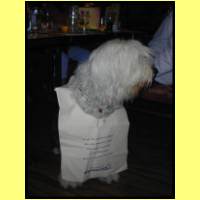 DSCN2170_s.jpg