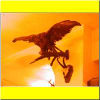 DSCN4652_s.jpg