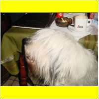 Dsc00047_s.jpg