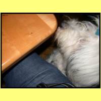 DSCN9416_s.jpg