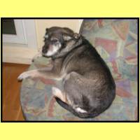 DSCN9952_s.jpg