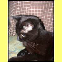 DSCN9957_s.jpg